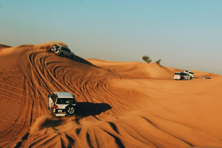 Best Desert Safari Locations Around the World