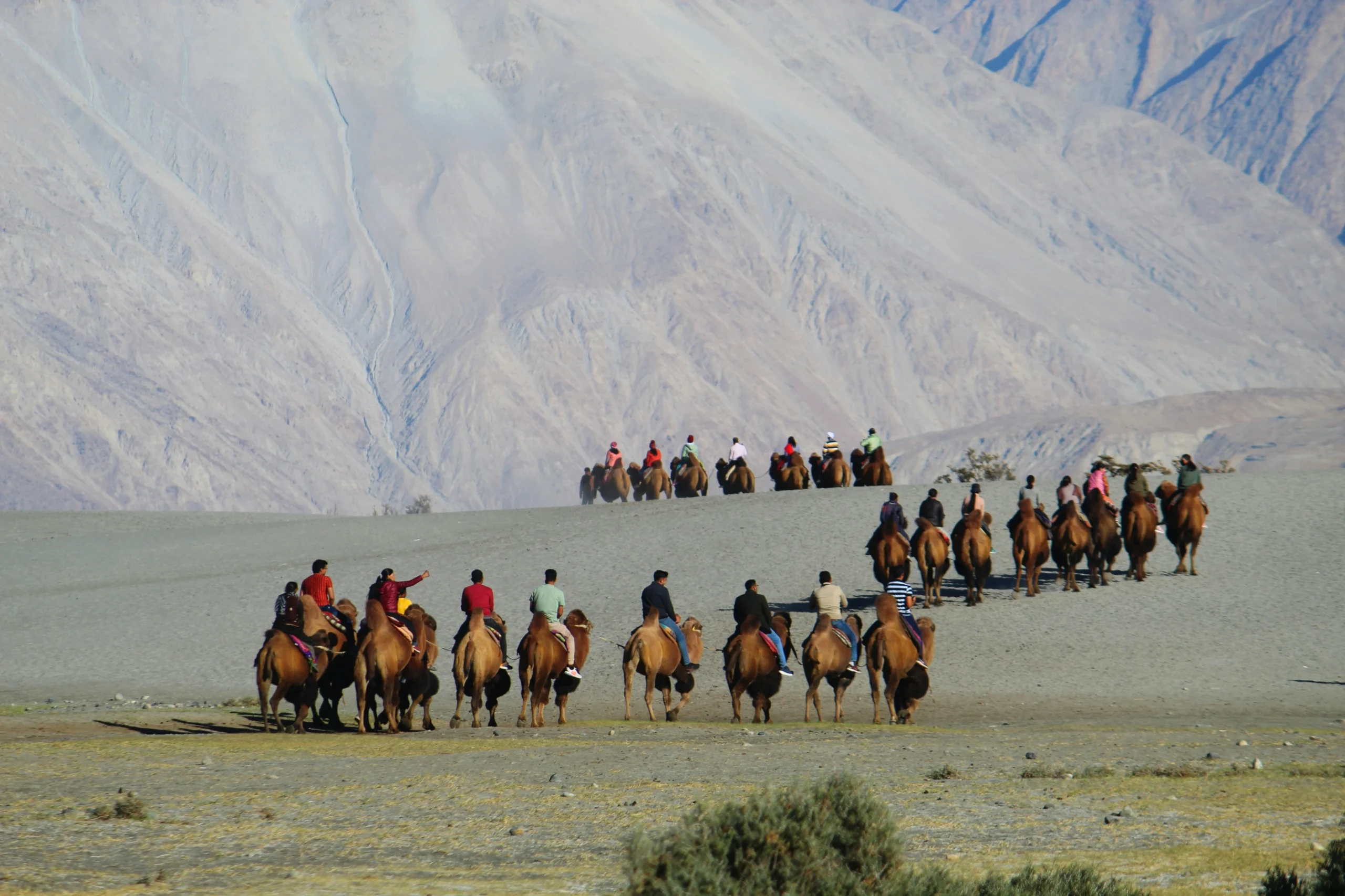 Nubra Valley - Best Desert Safaris